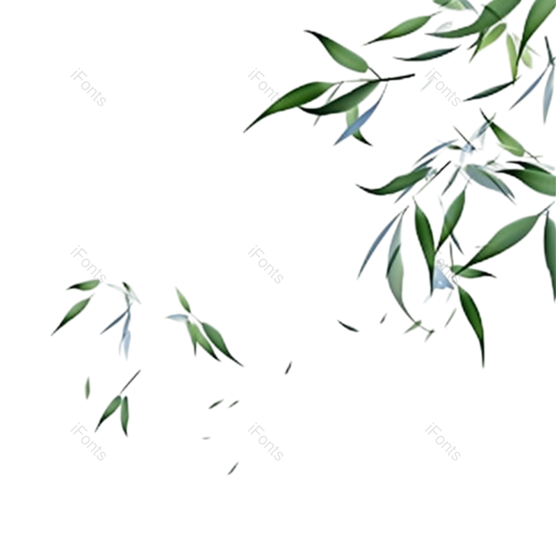 叶子图片,装饰元素,竹叶PNG,夏天免抠素材